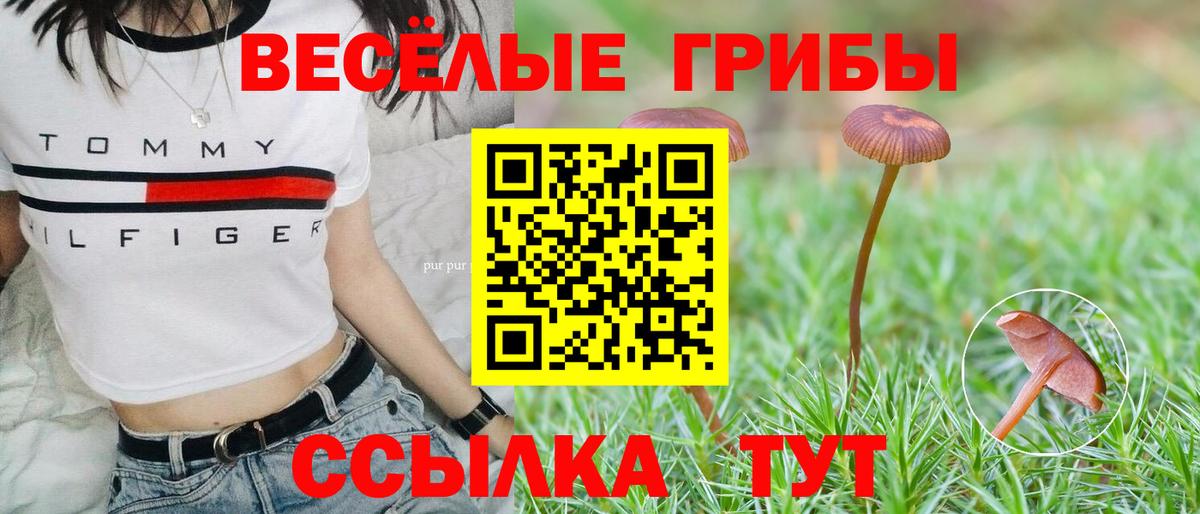Псилоцибиновые грибы Magic Shrooms Серов